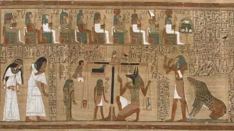 صورة 17